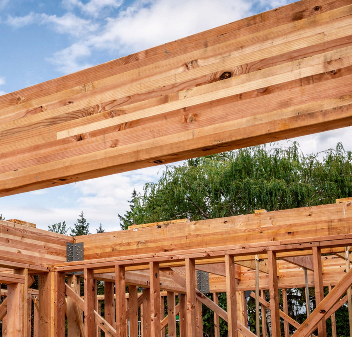 Glulam timber structure